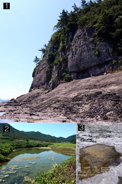 ■1 전남 고흥 영남면 우천리 용암마을에는 승천의 꿈을 품에 안은 용의 발자국(용바위)이 고스란히 남아 있다. ■2 용꼬리가 휘어져 돌아간 자리에 연못이 만들어졌고, 간천마을 사람들은 연못의 일렁이는 물결로 날씨를 가늠하며 농사를 지었다. ■3 용바위를 떠받치는 드넓은 반석 위에 용의 발자국처럼 깊게 팬 흔적이 눈에 띈다. 김진환 기자 kwangshin@donga.com