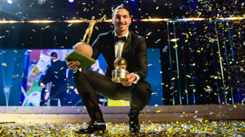 사진=스웨덴 축구협회.