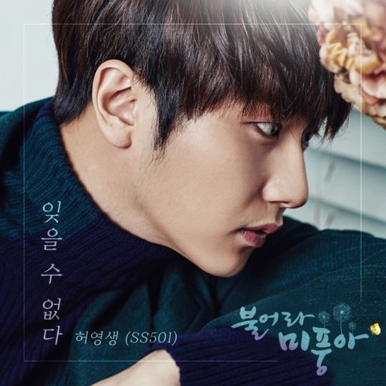 사진=더하기미디어