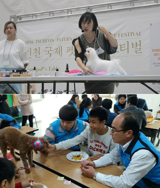 ■위) 성지유 협회장이 펫케어페스티벌에서 아로마테라피 시연을 선보이고 있다. ■아래) 김복택 교수가 장애인거주시설 예원에서 동물매개치유 프로그램을 진행하고 있다. 사진제공｜펫케어·서울호서직업전문학교