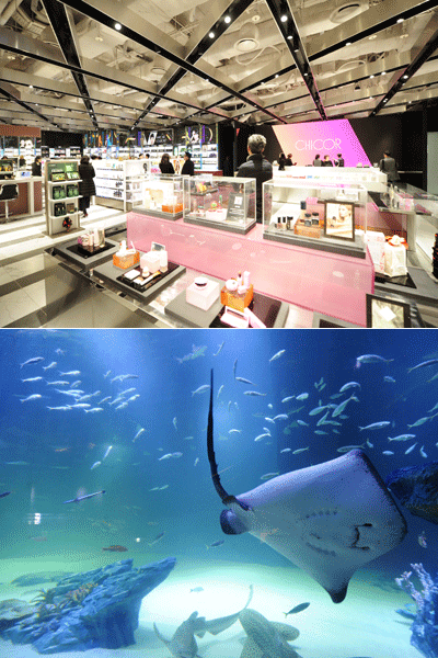 대구 신세계백화점은 패밀리 테마파크 콘셉트를 구현한 것이 특징이다. 1층에 위치한 화장품 편집숍 ‘시코르’ 매장(위)과 최상부층인 9층에 위치한 ‘아쿠아리움’. 사진제공|신세계백화점