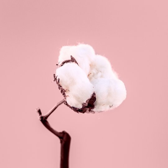 사진=웨스트브릿지 엔터테인먼트