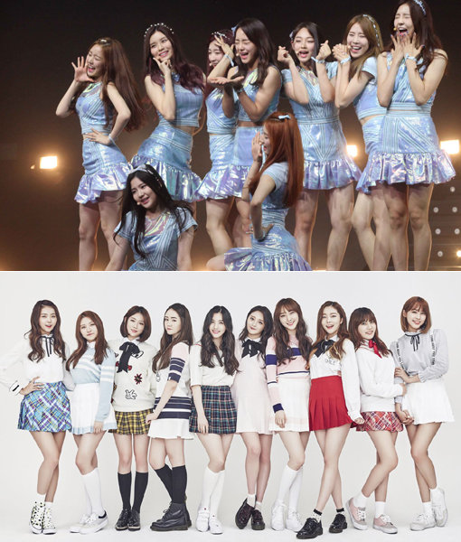 걸그룹 구구단-프리스틴. 사진제공｜동아닷컴DB·플레디스