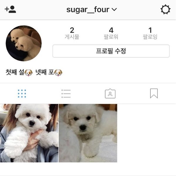 사진|보라 인스타그램