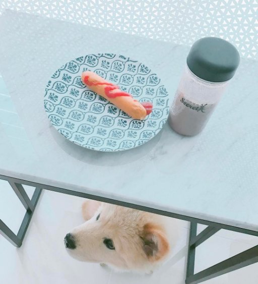 사진|경리 인스타그램