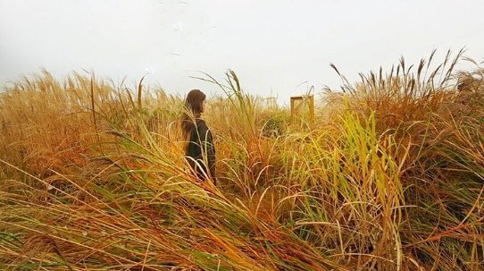 사진|지연 인스타그램