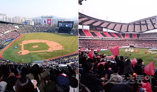 한국프로스포츠협회는 국내 4대 프로스포츠 관람객 성향 조사를 통해 의미 있는 분석 결과를 발표했다. 사진은 잠실야구장(왼쪽)과 서울월드컵경기장. 스포츠동아DB