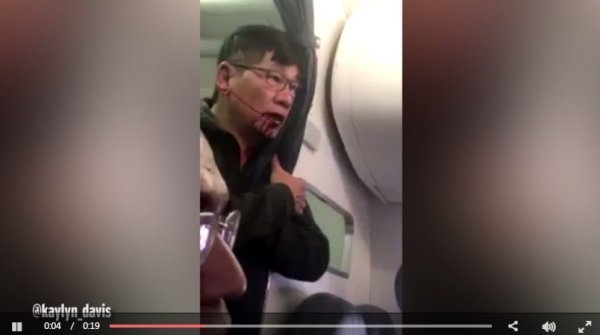 사진 | 트위터/kaylyn_davis