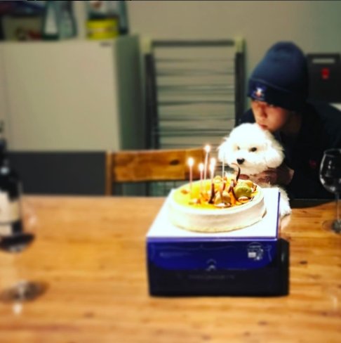 사진|세훈 인스타그램