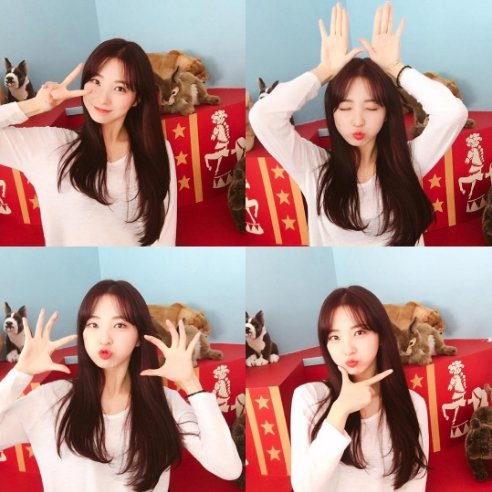 사진|이수현 인스타그램