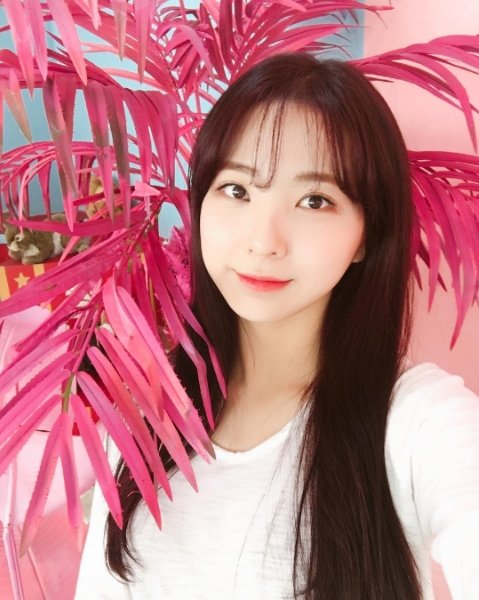 사진|이수현 인스타그램