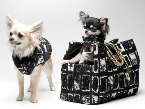 반려견 옷과 보호자의 가방이 한세트인 ‘이나모라다’ 커플 제품. 사진제공｜오드펫