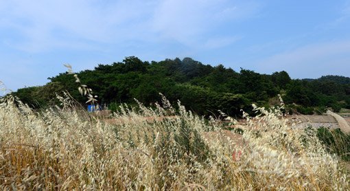 전남 고흥군 풍양면 고옥리 축두마을 주민들은 몽중산의 제당에서 건강과 풍년을 기원하는 제사를 지낸다. 제당은 가장 깊숙한 곳에 자리해 지금도 신성하게 여겨지고 있다. 고흥(전남) | 김종원 기자 won@donga.com