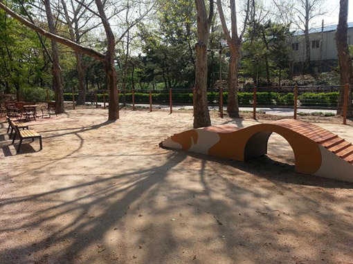 반려견 놀이터에서는 반려견들이 맘껏 뛰어놀 수 있지만, 공공장소이므로 다른 이용객들에게 피해를 주지 않도록 항상 반려견의 돌발행동이나 배설물 처리 등에 주의해야 한다. 사진제공|서울시