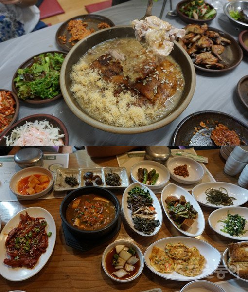 지방여행을 하다 식당에 들를 때면 소박하고 투박스럽지만 어쩐지 정겨운‘고향 밥’ 같은 메뉴를 기대하게 된다. 산 좋고 물 좋은 경북 청송에도 푸근함을 느끼게 하는 향토 맛집이 있다. 신촌약수 명궁가든의 누룽지백숙(위)과 주왕산 입구 청솔식당의 산채백반.청송 | 김재범 기자 oldfield@donga.com
