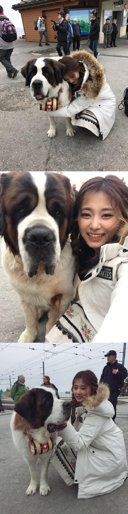 사진 | 트와이스 공식 인스타그램