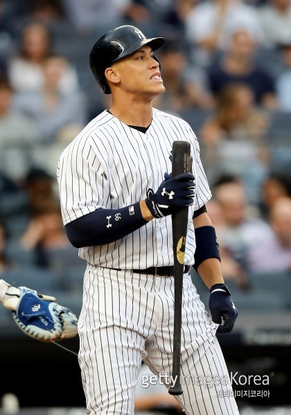 애런 저지. 사진=게티이미지코리아