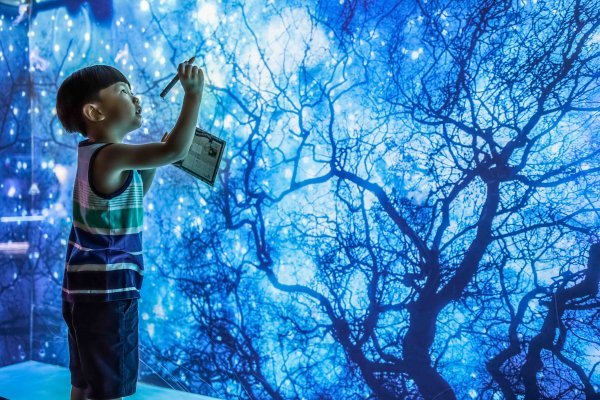 한화 아쿠아플라넷 일산 나이트 아쿠아