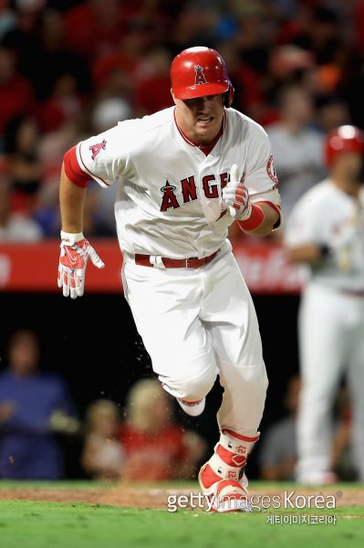 마이크 트라웃. 사진=게티이미지코리아