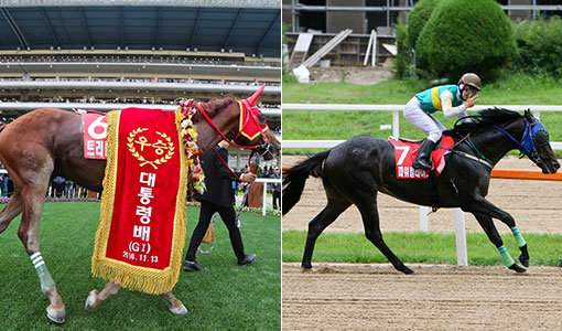 ‘트리플나인’(왼쪽)과 ‘파워블레이드’는 13일 렛츠런파크 부산경남 제4경주로 열리는 제11회 오너스컵의 유력한 우승후보다. 사진제공｜한국마사회