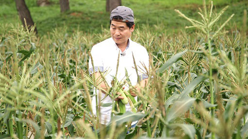 사진제공|채널A