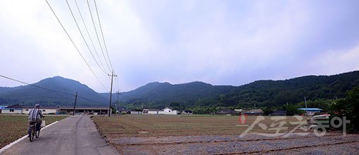 고즈넉한 풍경의 고흥군 점암면 안치마을은 서로를 구한 뱀과 두꺼비의 이야기가 전해져온다. 안치마을 뒷산 능선은 뱀의 형상을 닮아있다. 고흥(전남)｜김종원 기자 won@donga.com