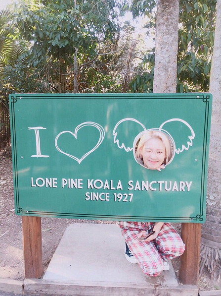 사진ㅣ효연 인스타그램