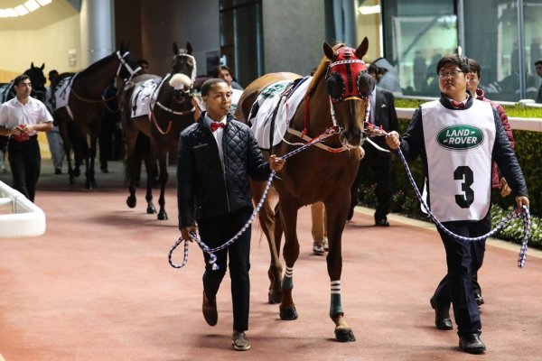 한국마사회는 내년 1∼3월에 열리는 두바이월드컵 원정참가 희망마를 29일까지 접수한다. 사진은 트리플나인이 올해 두바이월드컵에 참가해 예시장에 입장하는 모습. 사진제공|한국마사회