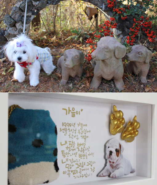 버스를 이용해 반려동물과 함께 팜카밀레 허브농원(위쪽)과 신두리 해안 일몰을 둘러보는 여행 상품, 조형미술전공자가 100% 수작업으로 제작한 ‘반려동물 추억 보관함’(아래쪽) 등 반려동물 관련 이색상품이 눈길을 끌고 있다. 사진제공｜펫츠고트래블·탑펫