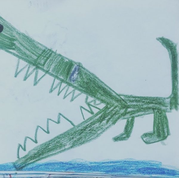 사진｜개코 인스타그램