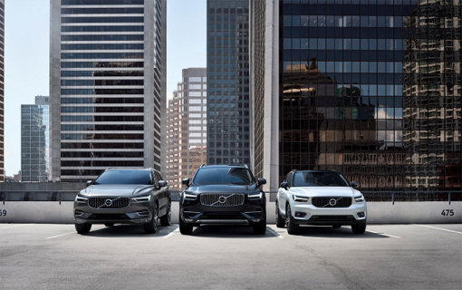 더 뉴 XC60, 올 뉴 XC90, 더 뉴 XC40(왼쪽부터). 사진제공｜볼보자동차코리아