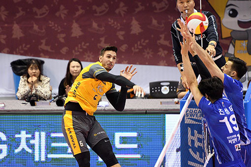 KB손해보험 알렉스. 사진제공|KOVO