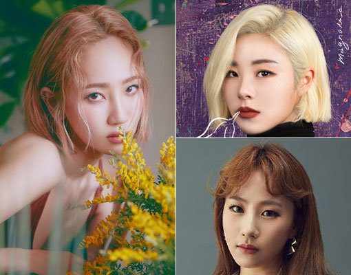 가수 핫펠트(예은)-마마무 휘인-어반자카파 조현아(왼쪽부터 시계 방향으로). 사진제공｜아메바컬쳐·RBW·메이크어스엔터테인먼트