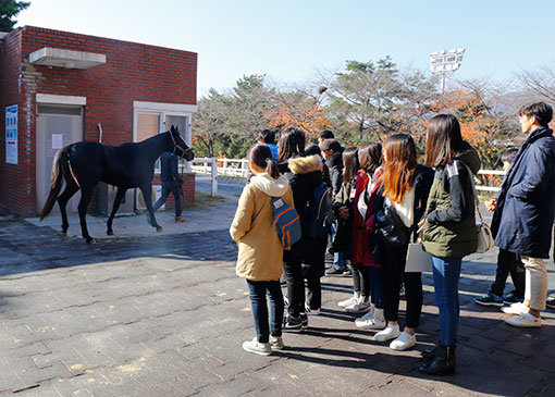 사진제공｜한국마사회