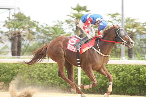 렛츠런파크 부산경남 경주마 ‘돌아온포경선’이 7월29일 열린 제12회 오너스컵 경마대회에서 1위로 결승선을 통과하고 있다. 사진제공｜한국마사회
