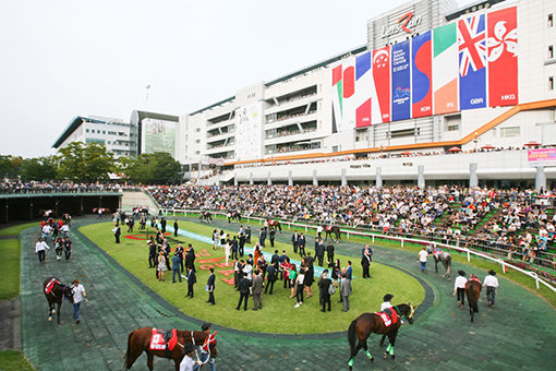 렛츠런파크 서울에서 9월9일 열리는 제3회 코리아컵(GⅠ)은 국제경주로서 한국 경마의 위상을 높일 것으로 기대 받고 있다. 사진은 2016년 제1회 코리아컵 경주 개최 당시 모습. 사진제공｜한국마사회