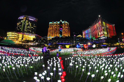 하이원리조트 ‘하이원 라이팅 월드’.