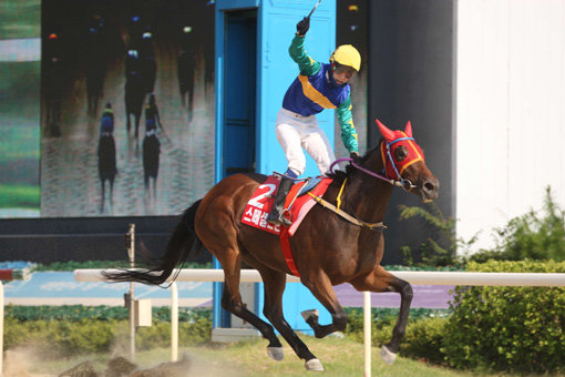 코리안오크스배에서 ‘스페셜스톤’이 결승선을 통과하고 있는 모습.