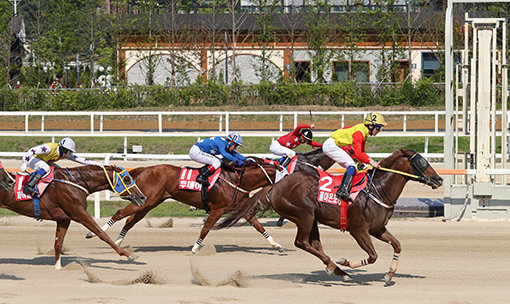 부경의 돌아온포경선(맨 오른쪽)은 올 시즌 단거리 최강마를 가리는 스프린트 시리즈 최우수마에 등극했다. 사진제공｜한국마사회