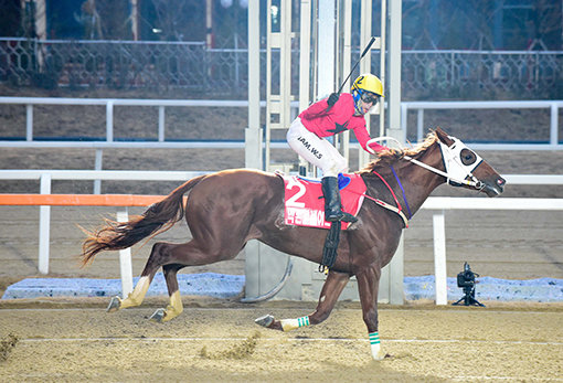 트리플 크라운 최우수마 엑톤블레이드(부경). 사진제공｜한국마사회