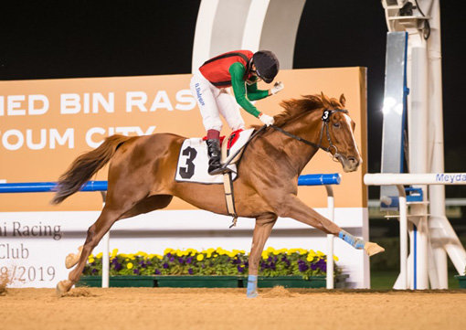 사진출처｜emirates racing