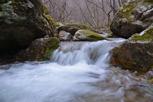 장성새재길 내내 만날 수 있는 울창한 계곡. 사진제공|한국관광공사