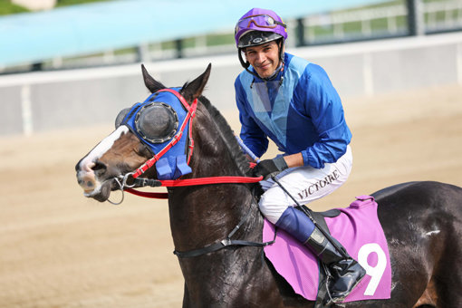 2019년 5월12일 100승을 달성한 빅투아르 기수.