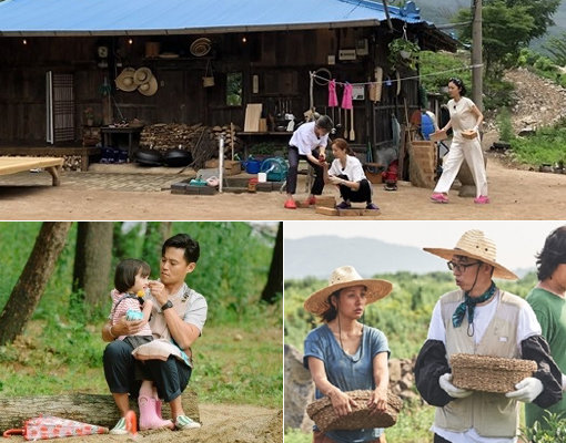 tvN ‘삼시세끼’ - ‘일로 만난 사이’ - SBS ‘리틀 포레스트’(위쪽부터 시계 방향으로). 사진제공｜tvN·SBS