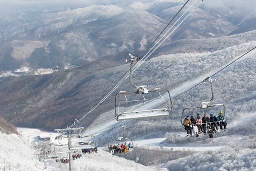 정선의 하이원스키장은 18면에 달하는 슬로프·넓은 리조트 면적과 워터파크부터 눈썰매장, 양궁장, 미니동물원 등 다양한 콘텐츠를 자랑한다. 사진제공｜강원랜드