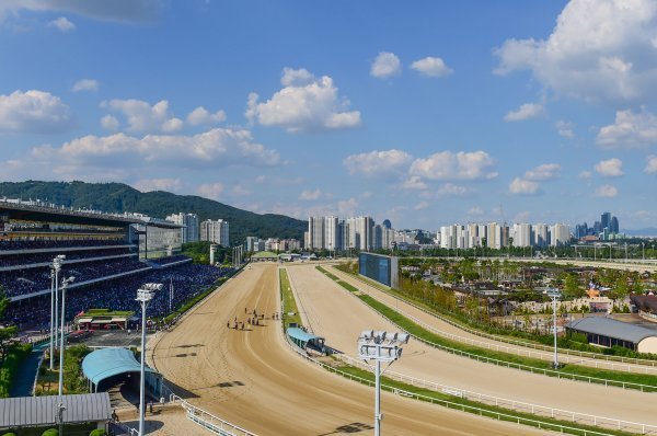 한국마사회 서울경마공원 전경