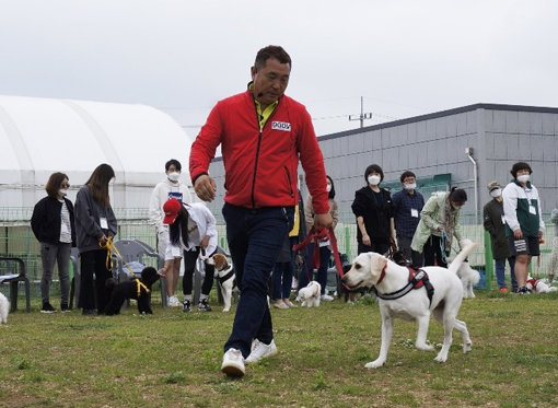 올바른 반려견 산책을 시범 보이고 있는 이웅종 교수. 사진제공|펫뉴스