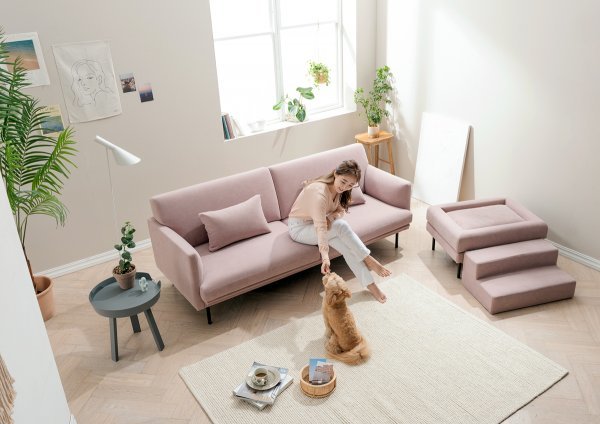 에싸가 반려견과 반려인이 함께 사용할 수 있는 공간을 더한 반려견 소파를 출시했다. 
사진제공 l 에싸