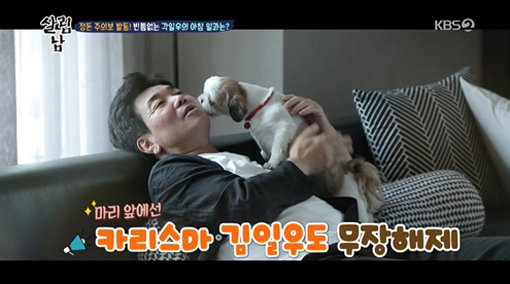 KBS 2TV ‘살림하는 남자들’ 시즌2 김일우. 사진제공｜KBS