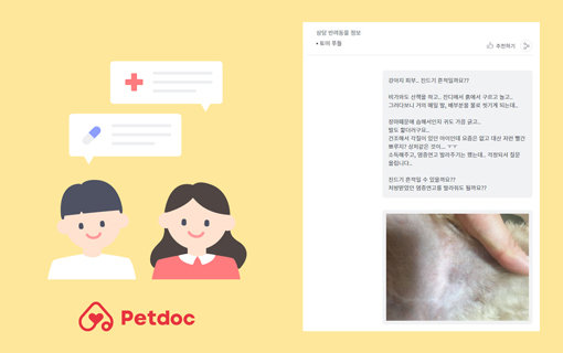 펫닥이 운영 중인 수의 상담 화면. 
사진제공｜펫닥